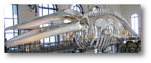 Musei marittimi - 3