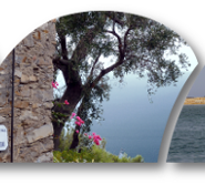 Cipressa